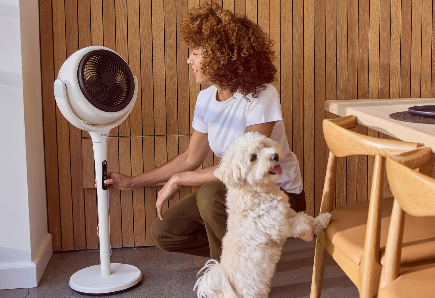 AirCraft Home Ventilator von Lume – Fernbedienung, LED-Hintergrundbeleuchtung, Timer, 3D-Oszillation, wandelbar von Sockel zu Schreibtisch, 3 Modi